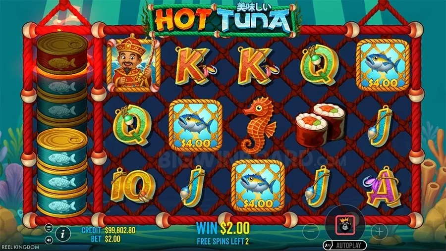 Daily Poker Tournaments