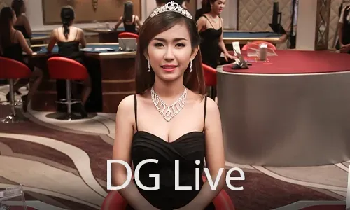 Phdream Bingo Bonuses